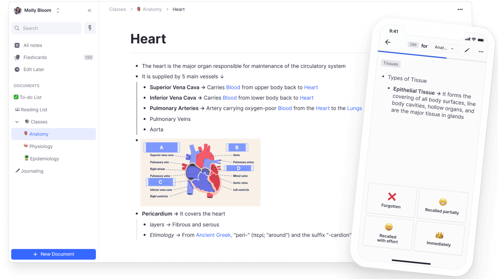 RemNote platform screenshot